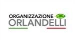 Logo ORGANIZZAZIONE ORLANDELLI S.R.L.